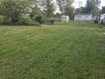 Lawn Care service in Berlin, 08009