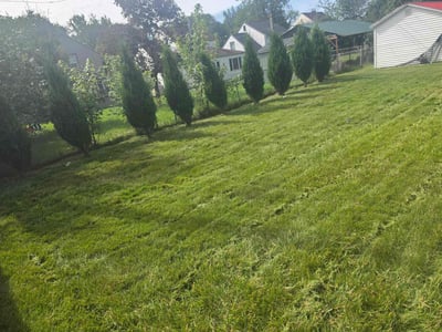 Lawn Care service in Depew, 14043