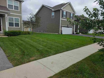 Lawn Care service in Algonquin, 60156