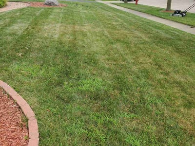 Lawn Care service in Algonquin, 60156