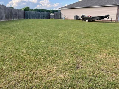 Lawn Care service in Sun City West, 85375