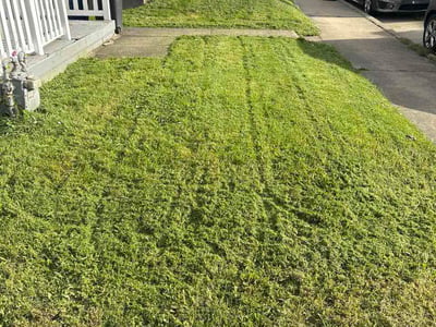 Lawn Care service in Beaver, 15009