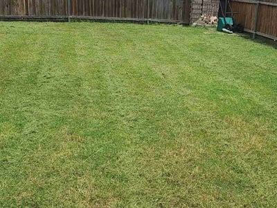Lawn Care service in Baldwin, 11510