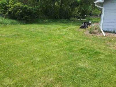 Lawn Care service in Surprise, 85374