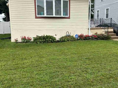 Lawn Care service in Havertown, 19083