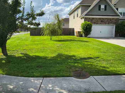 Lawn Care service in Maricopa, 85139
