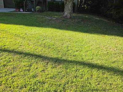 Lawn Care service in Hiram, 30141