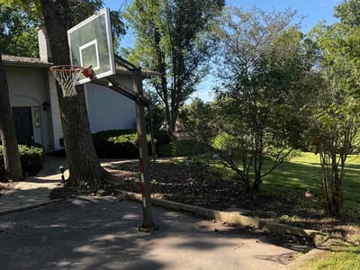 Lawn Care service in Lemont, 60439