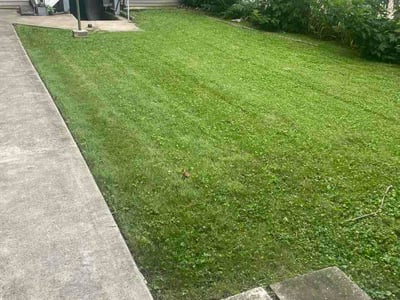 Lawn Care service in Lemont, 60439