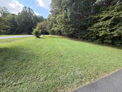 Lawn Care service in Ruther Glen, 22546