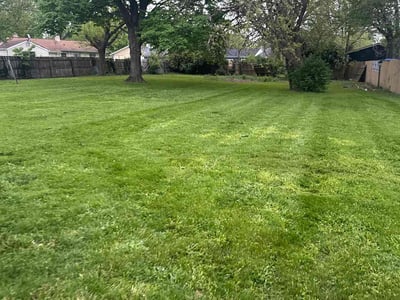 Lawn Care service in Mount Vernon, 98273