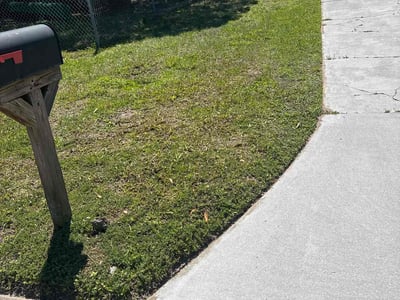 Lawn Care service in Newburyport, 01950