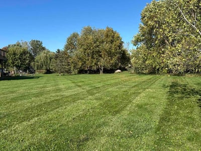 Lawn Care service in Chaska, 55318