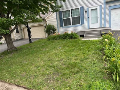 Lawn Care service in Chaska, 55318