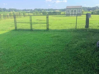 Lawn Care service in Smithfield, 27577