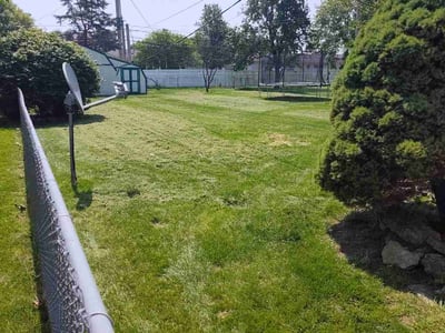 Lawn Care service in Sewickley, 15143