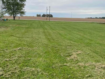 Lawn Care service in Steubenville, 43952
