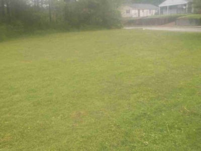 Lawn Care service in Peoria, 85345