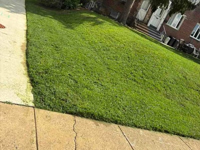 Lawn Care service in Springfield, 19064