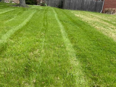 Lawn Care service in Burlington, 08016