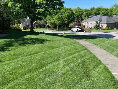 Lawn Care service in Murrysville, 15668