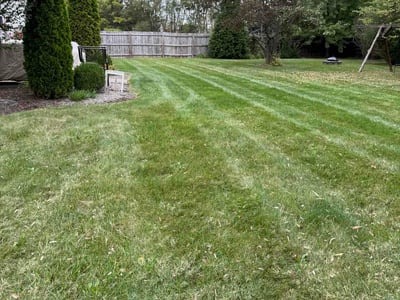 Lawn Care service in Murrysville, 15668