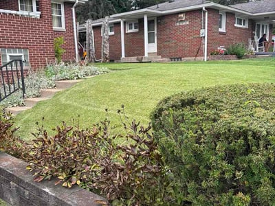 Lawn Care service in West Mifflin, 15122