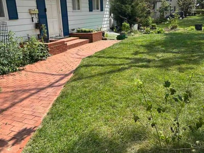 Lawn Care service in Phoenixville, 19460