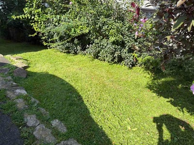 Lawn Care service in Fort Lee, 07024