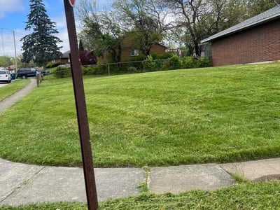 Lawn Care service in Phoenixville, 19460