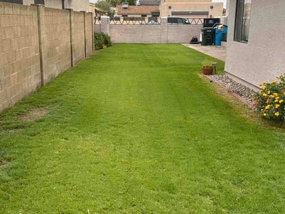 Lawn Care service in Cave Creek, 85331