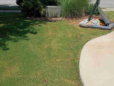Lawn Care service in Owens Cross Roads, 35763