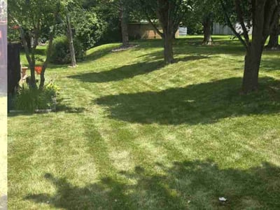 Lawn Care service in Cave Creek, 85331