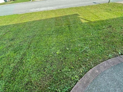 Lawn Care service in Medford, 02155