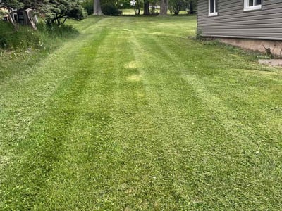 Lawn Care service in Beaver Falls, 15010