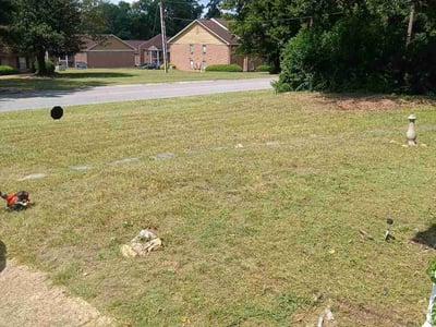Lawn Care service in Medford, 02155