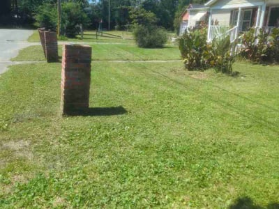 Lawn Care service in New Bern, 28560