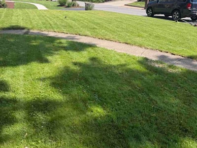 Lawn Care service in Dormont, 15216