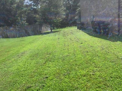 Lawn Care service in Loganville, 30052
