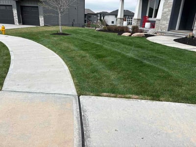 Lawn Care service in Carbondale, 62901