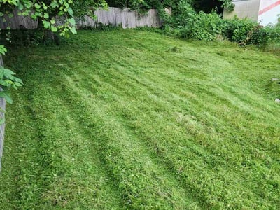Lawn Care service in Carbondale, 62901