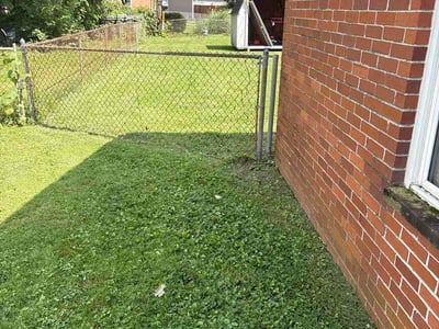Lawn Care service in Dormont, 15216