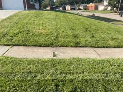 Lawn Care service in Valencia, 16059
