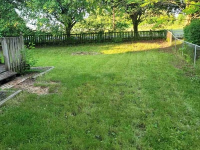 Lawn Care service in Valencia, 16059