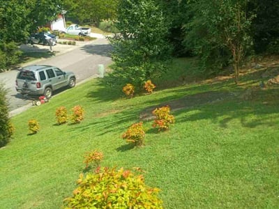 Lawn Care service in Gardendale, 35071