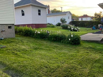 Lawn Care service in Coraopolis, 15108
