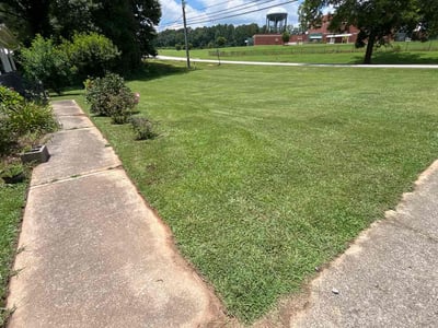 Lawn Care service in London, 40741