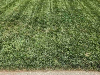 Lawn Care service in Marion, 62959