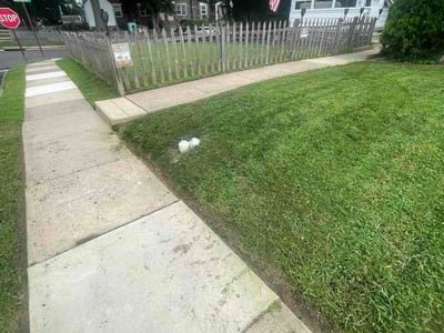 Lawn Care service in Drexel Hill, 19026