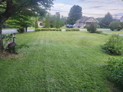 Lawn Care service in New Castle, 16101